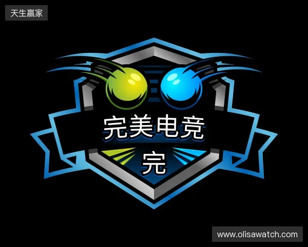 发现完美电竞